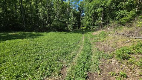 2933 S Saluda Hill Road Hanover IN 47243