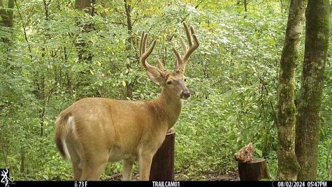 2933 S Saluda Hill Road Hanover IN 47243