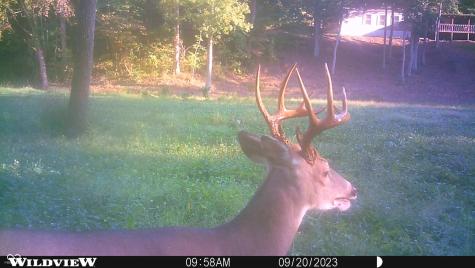 2933 S Saluda Hill Road Hanover IN 47243