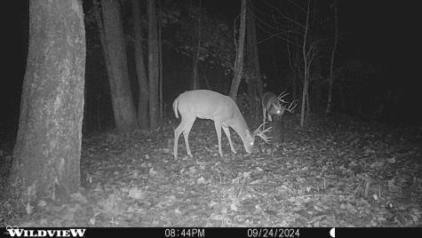 2933 S Saluda Hill Road Hanover IN 47243
