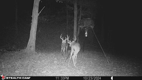2933 S Saluda Hill Road Hanover IN 47243
