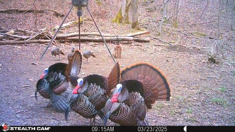 2933 S Saluda Hill Road Hanover IN 47243
