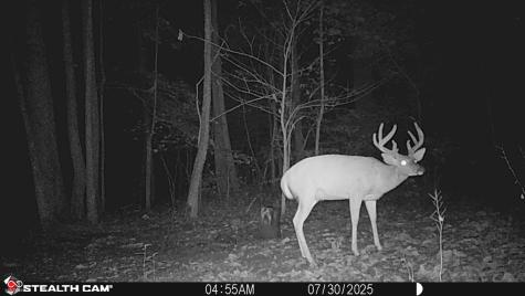 2933 S Saluda Hill Road Hanover IN 47243