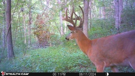 2933 S Saluda Hill Road Hanover IN 47243