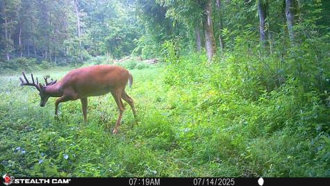 2933 S Saluda Hill Road Hanover IN 47243