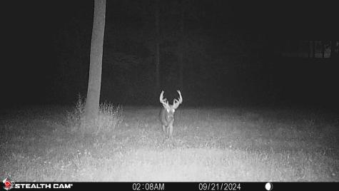 2933 S Saluda Hill Road Hanover IN 47243