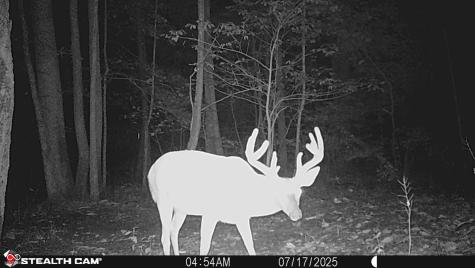2933 S Saluda Hill Road Hanover IN 47243