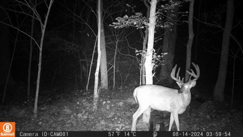 2933 S Saluda Hill Road Hanover IN 47243