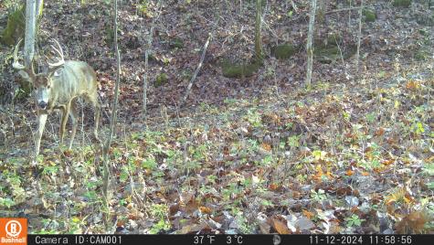 2933 S Saluda Hill Road Hanover IN 47243