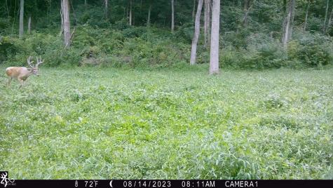 2933 S Saluda Hill Road Hanover IN 47243