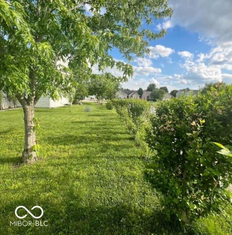 6546 Furnas Road Indianapolis IN 46221
