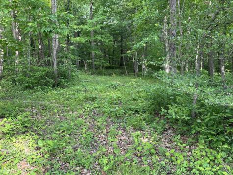 584 Schultz Lane Martinsville IN 46151
