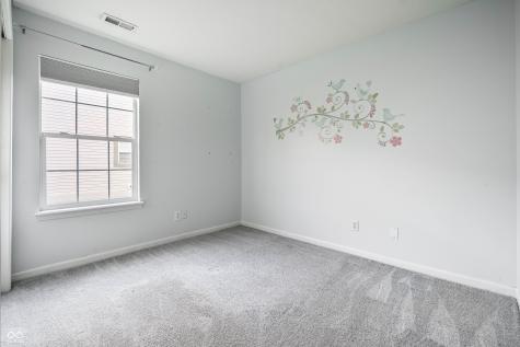 6145 Bristlecone Drive Fishers IN 46038