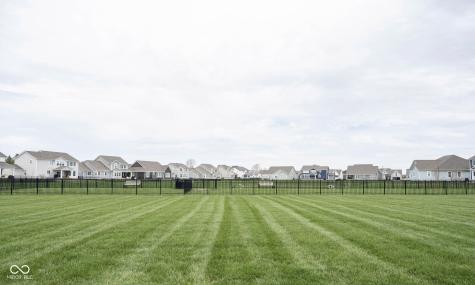 1557 Rosebank Drive Westfield IN 46074
