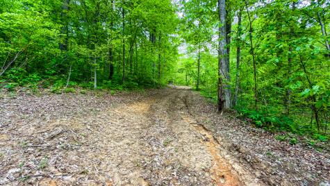 1271 Cedar Lane Spencer IN 47460