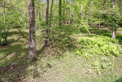9202 Fanchon Drive Zionsville IN 46077