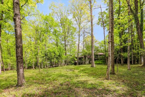 9202 Fanchon Drive Zionsville IN 46077