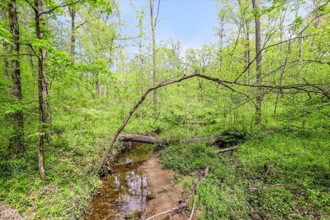9202 Fanchon Drive Zionsville IN 46077