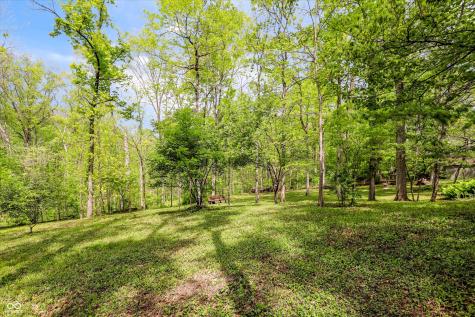 9202 Fanchon Drive Zionsville IN 46077