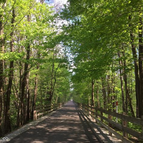 700 Greenford Trail N Carmel IN 46032