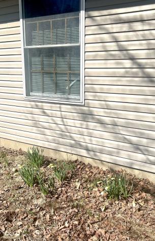 2976 W Rose Hill Lane Rosedale IN 47874