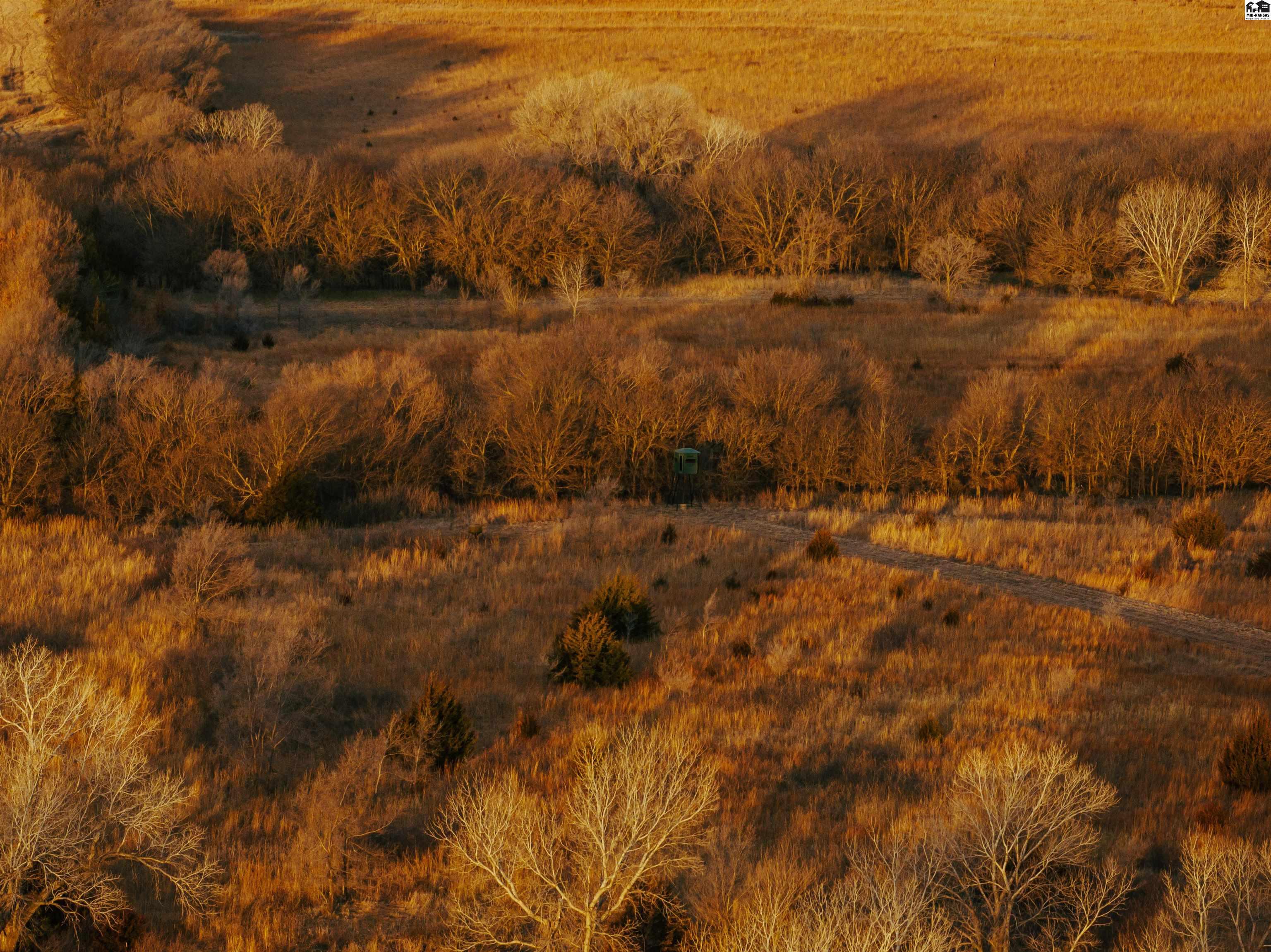 0000 SE 110th Street Kingman KS 67068