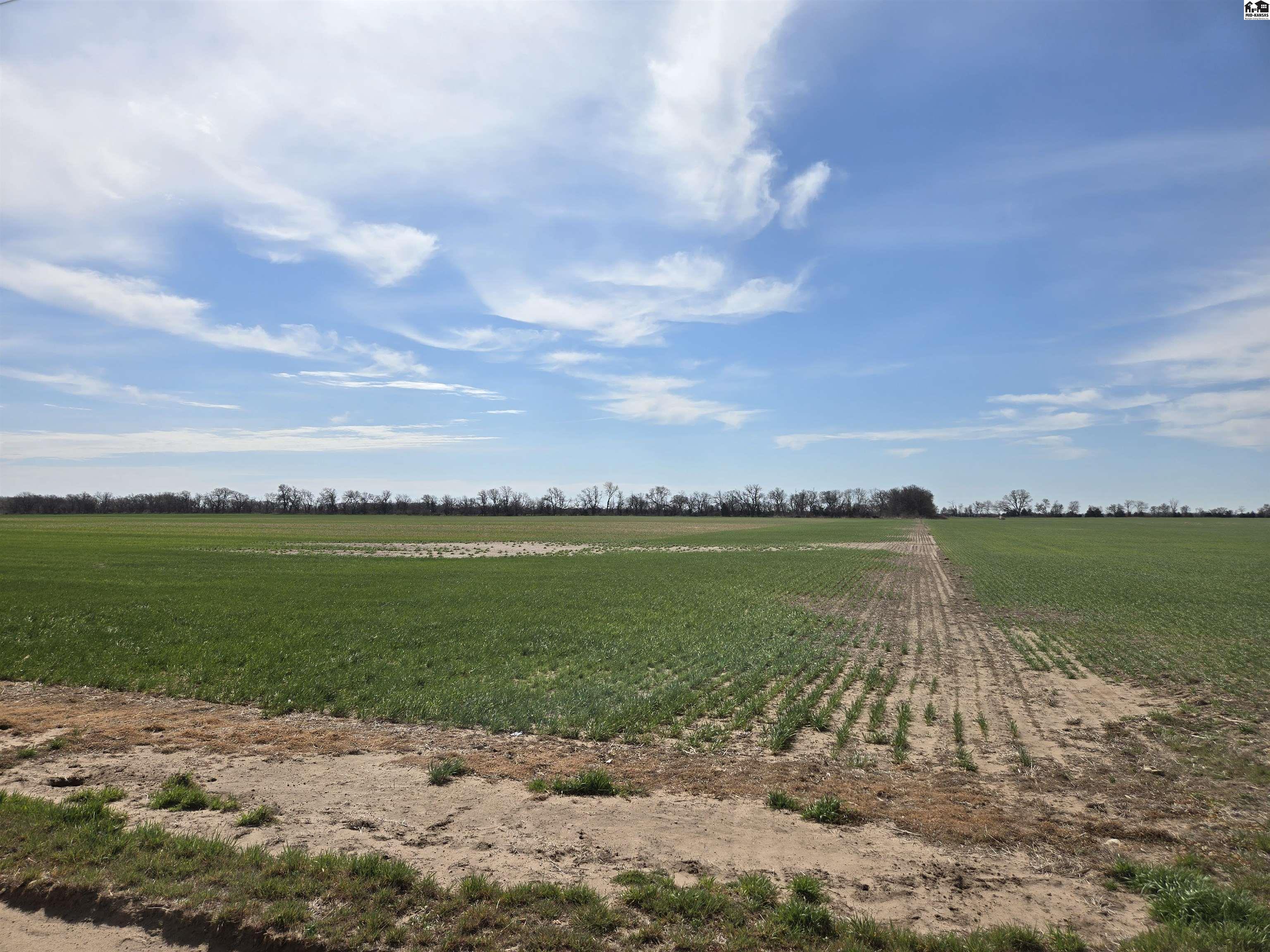 0000 S Woodberry Road Burrton KS 67020