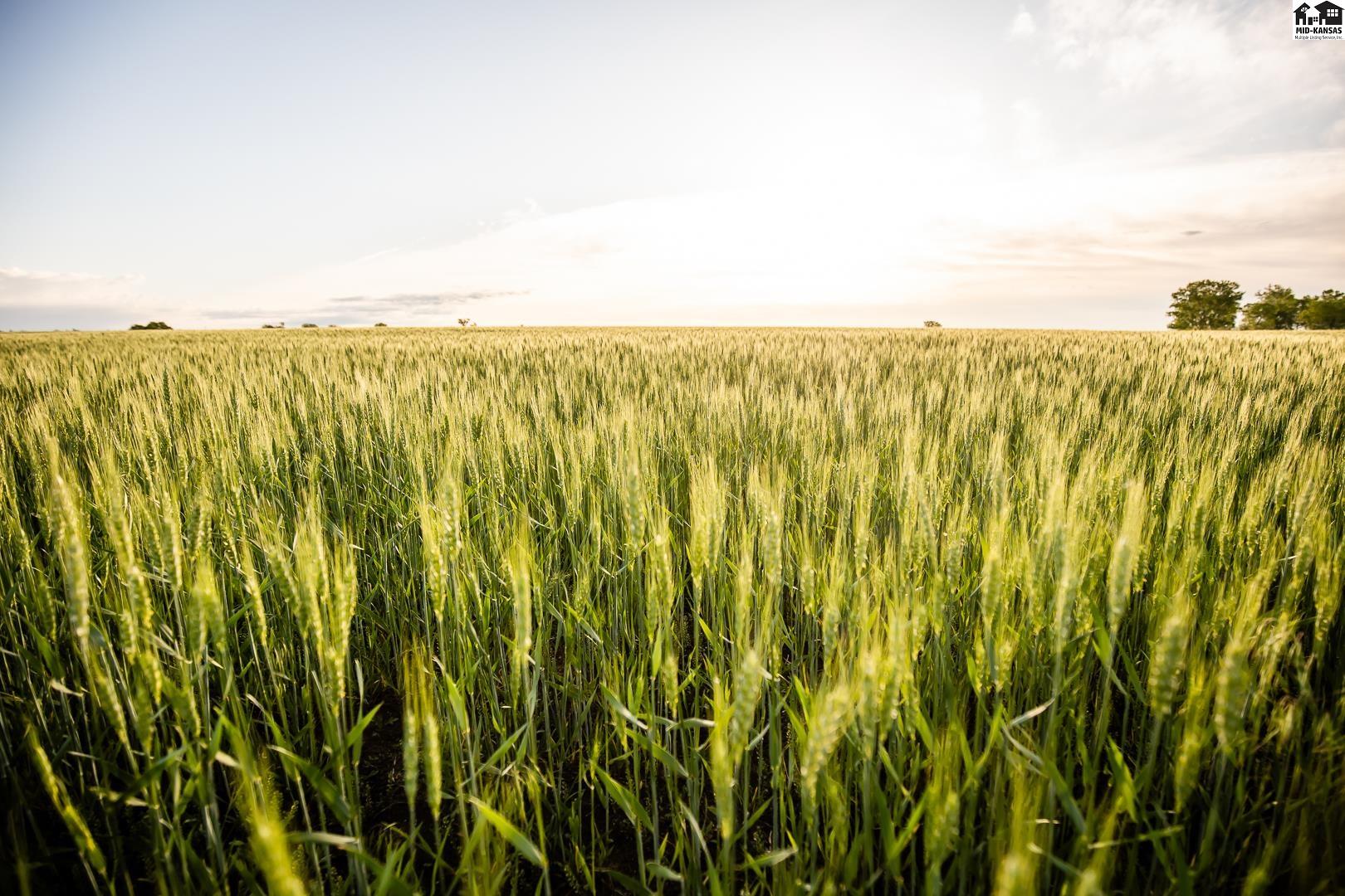 000 SE 120th Street Norwich KS 67142