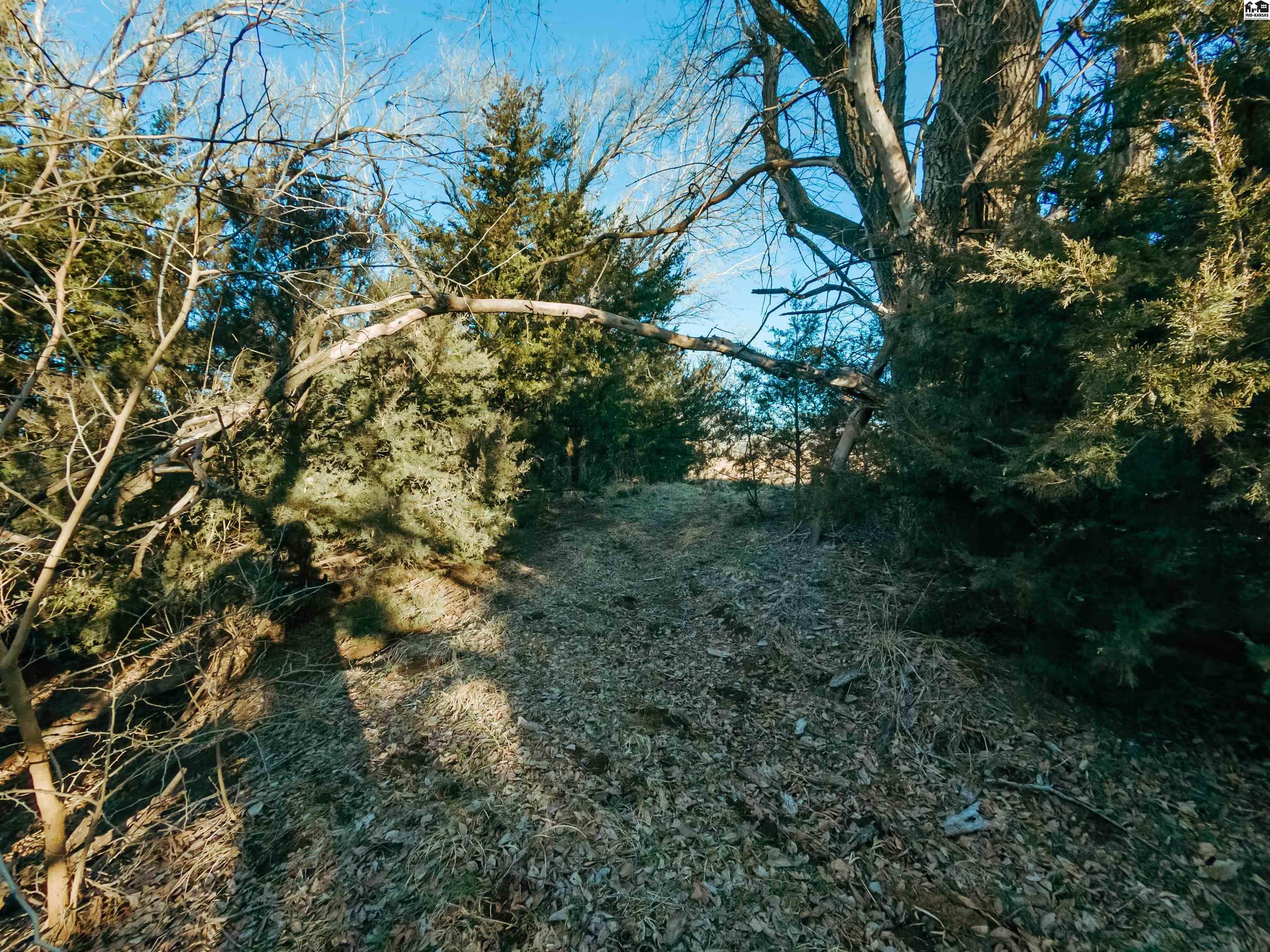 00000 W Boundary Road Pretty Prairie KS 67570