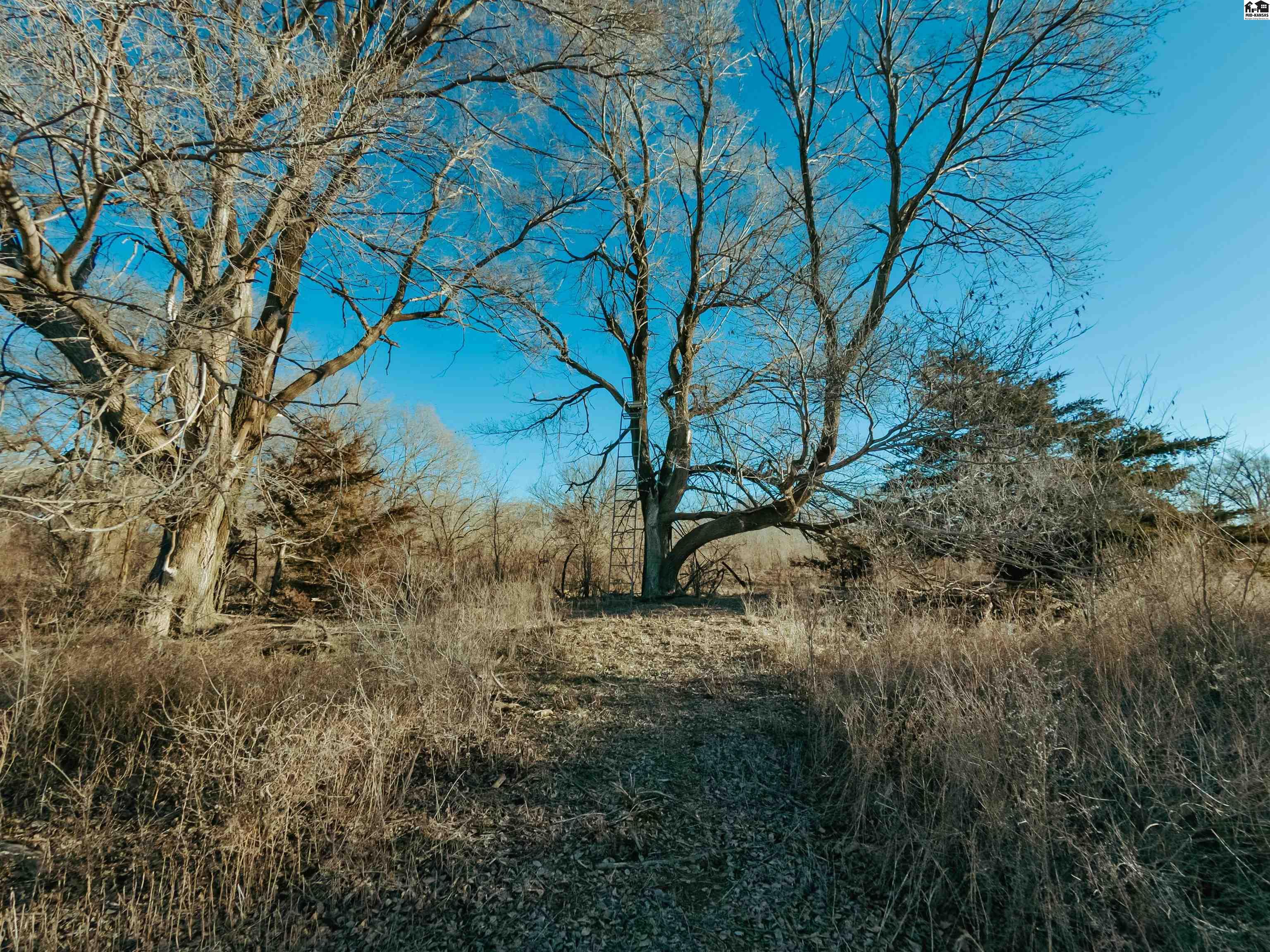 00000 W Boundary Road Pretty Prairie KS 67570