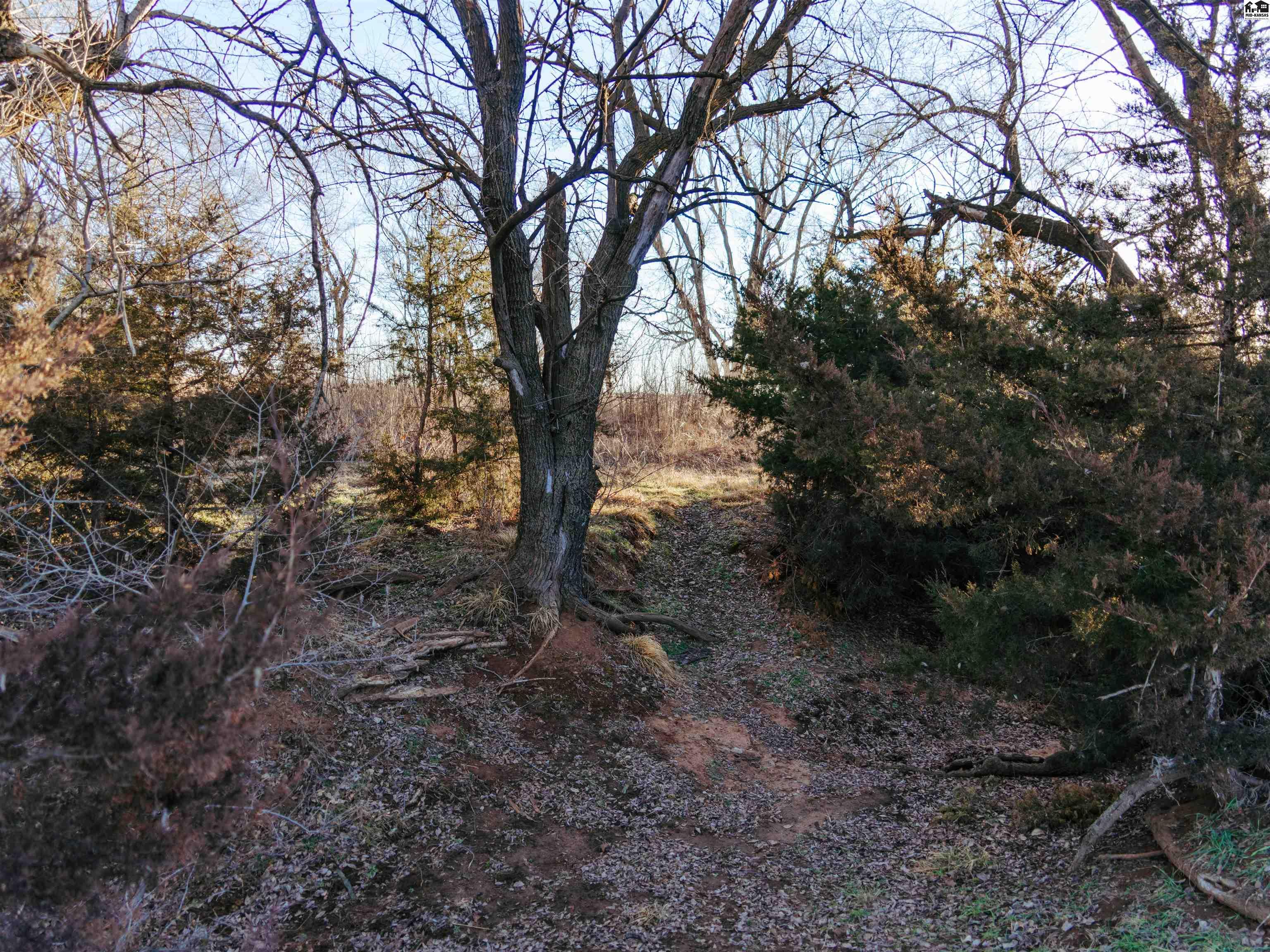 00000 W Boundary Road Pretty Prairie KS 67570
