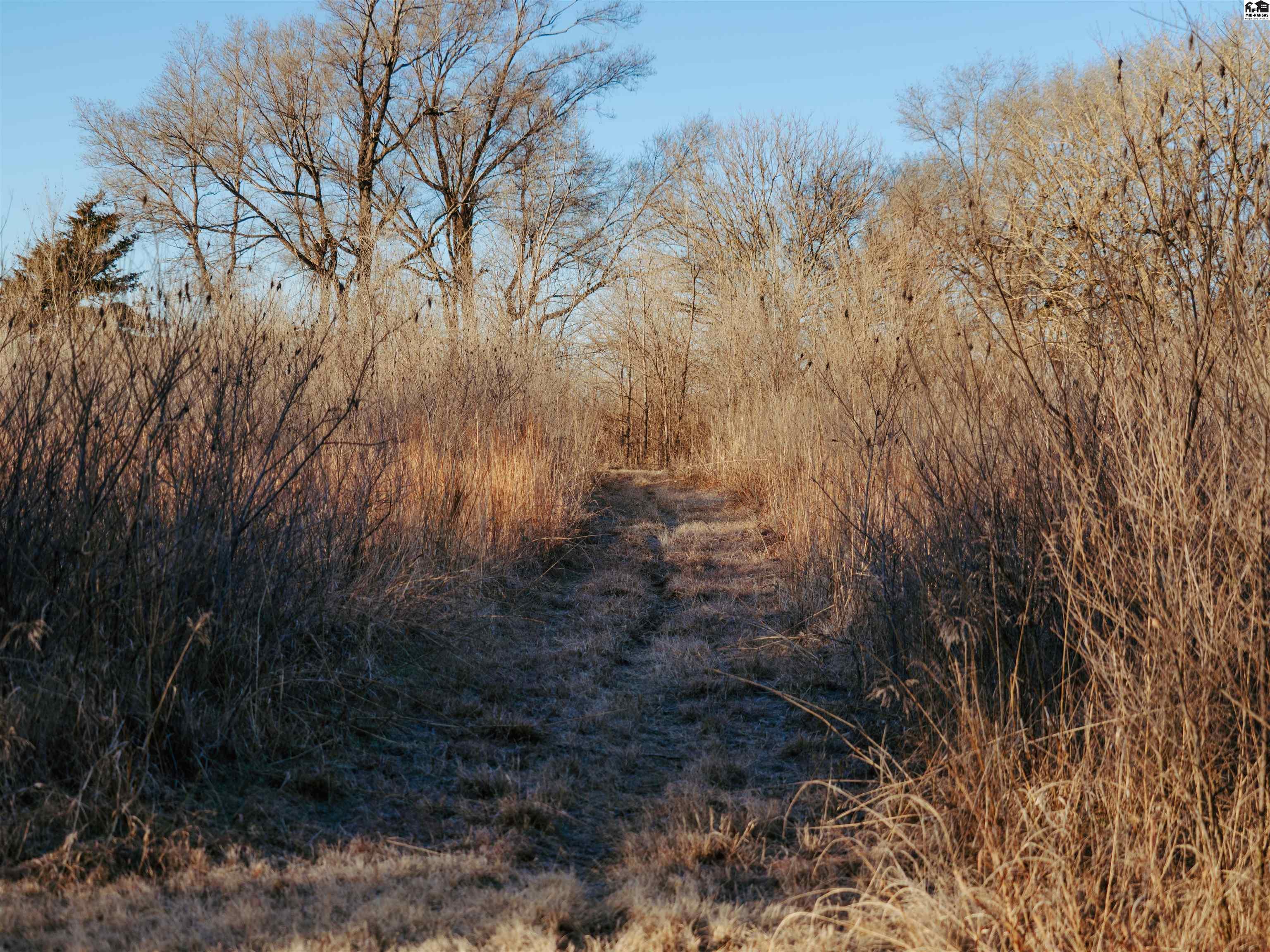 00000 W Boundary Road Pretty Prairie KS 67570