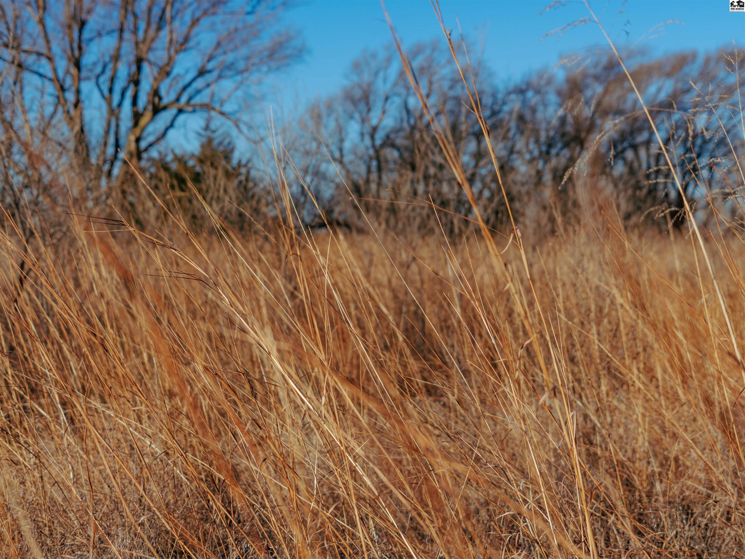 00000 W Boundary Road Pretty Prairie KS 67570