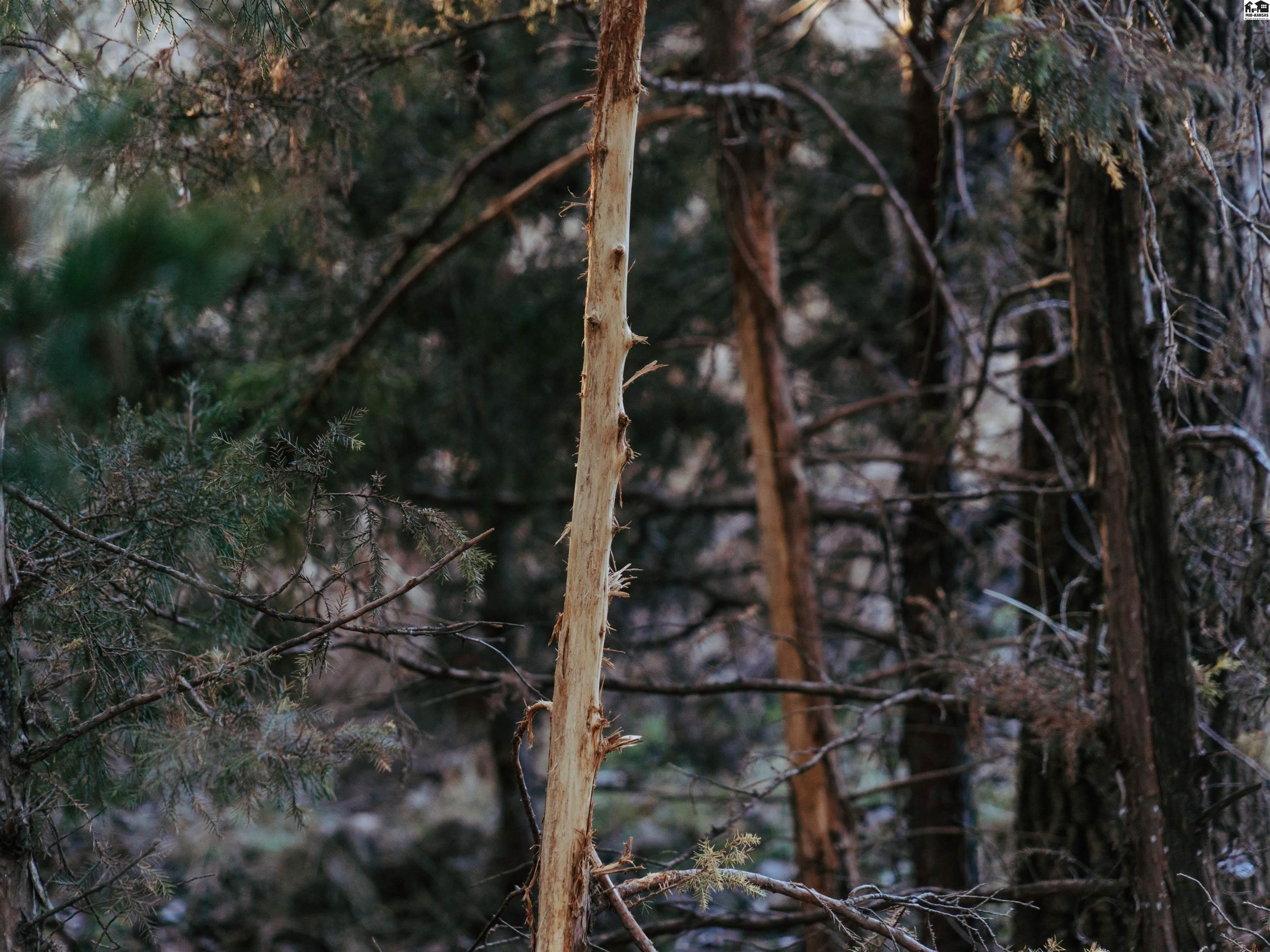 00000 W Boundary Road Pretty Prairie KS 67570