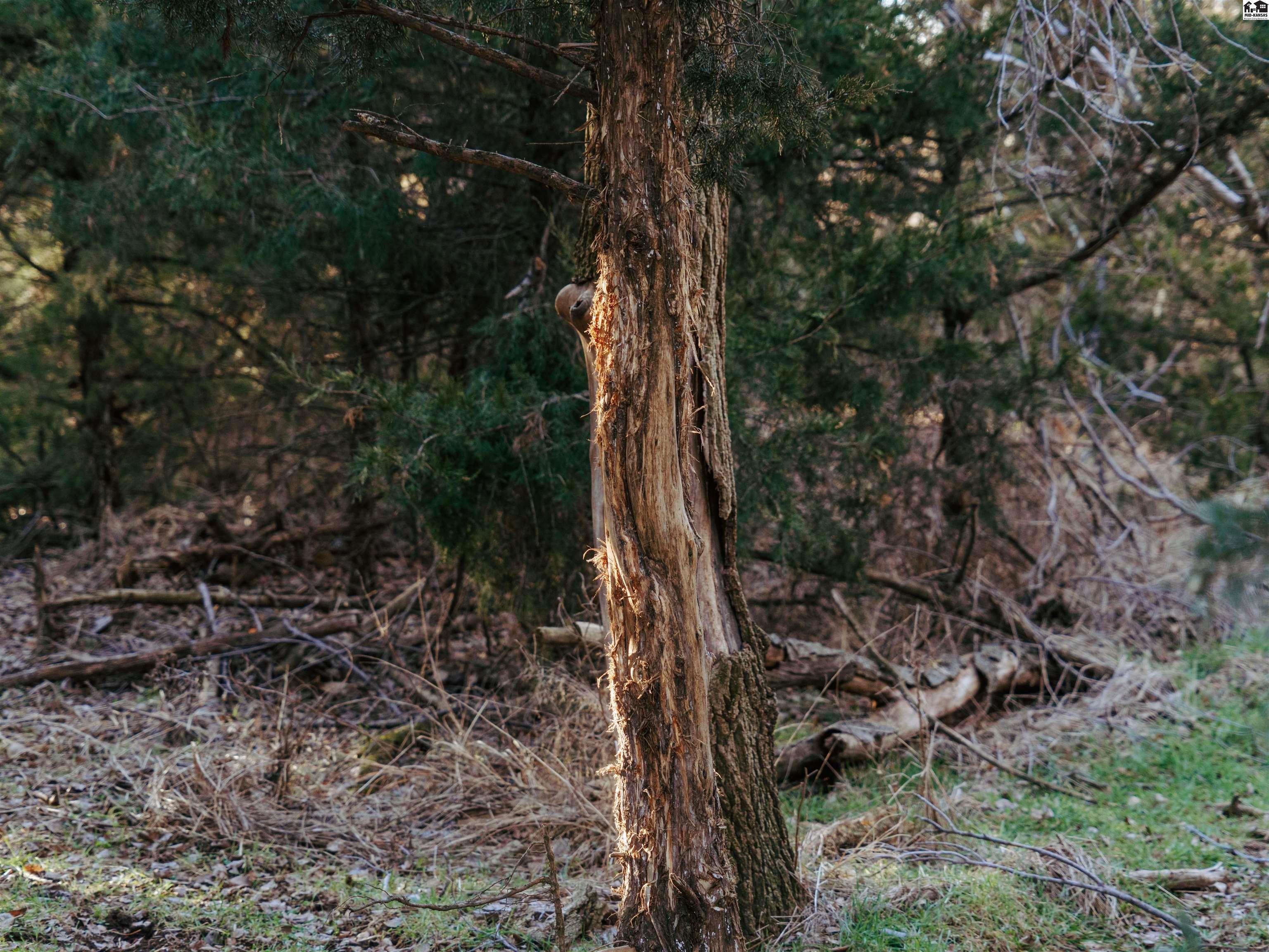 00000 W Boundary Road Pretty Prairie KS 67570