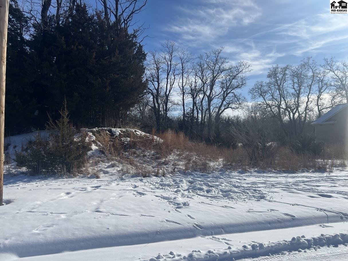 0000 Timber Lane Hutchinson KS 67502