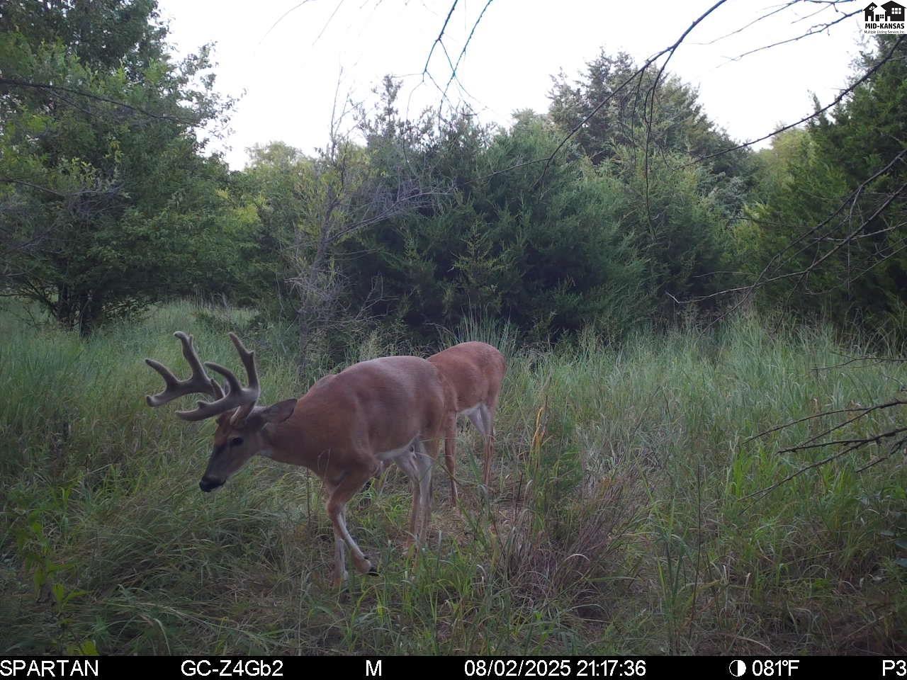 00000 W Copeland Avenue Kingman KS 67068