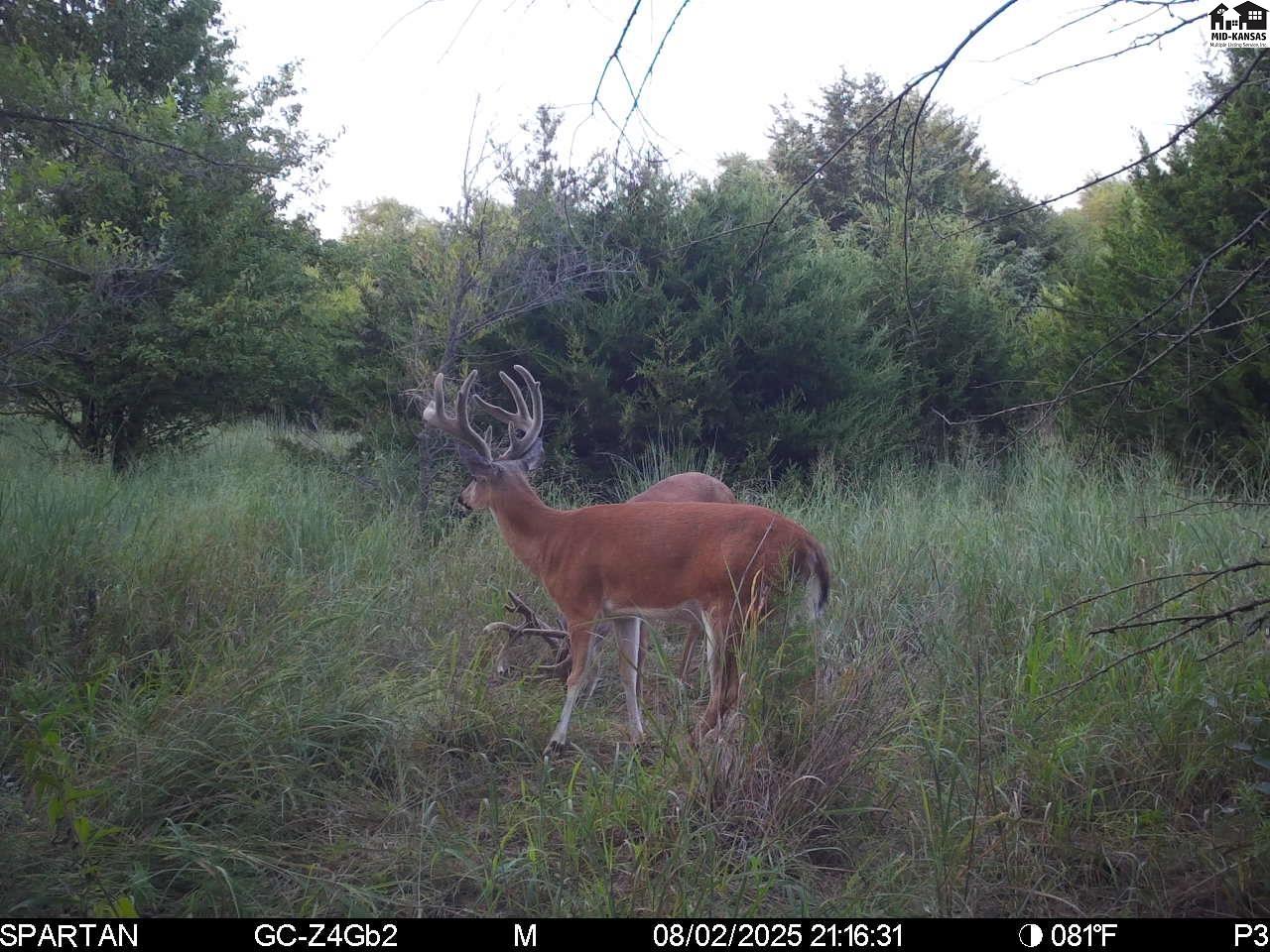 00000 W Copeland Avenue Kingman KS 67068