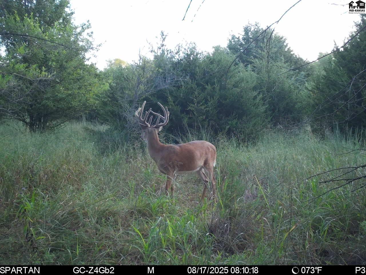 00000 W Copeland Avenue Kingman KS 67068