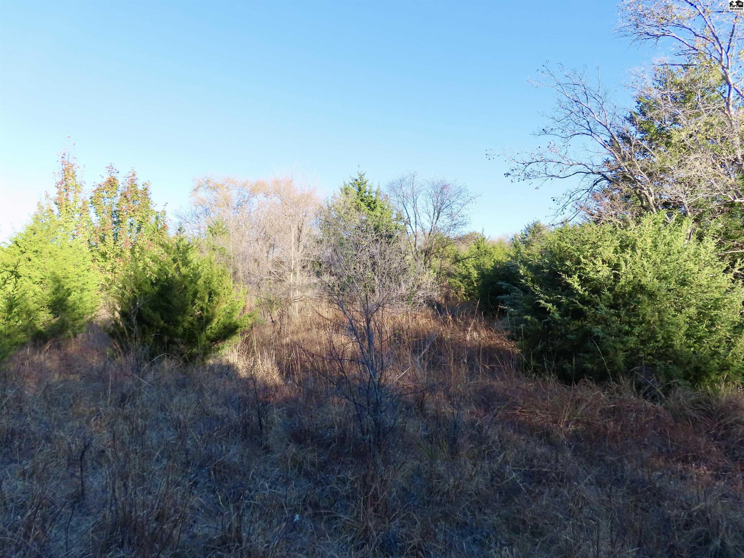 00000 W Copeland Avenue Kingman KS 67068