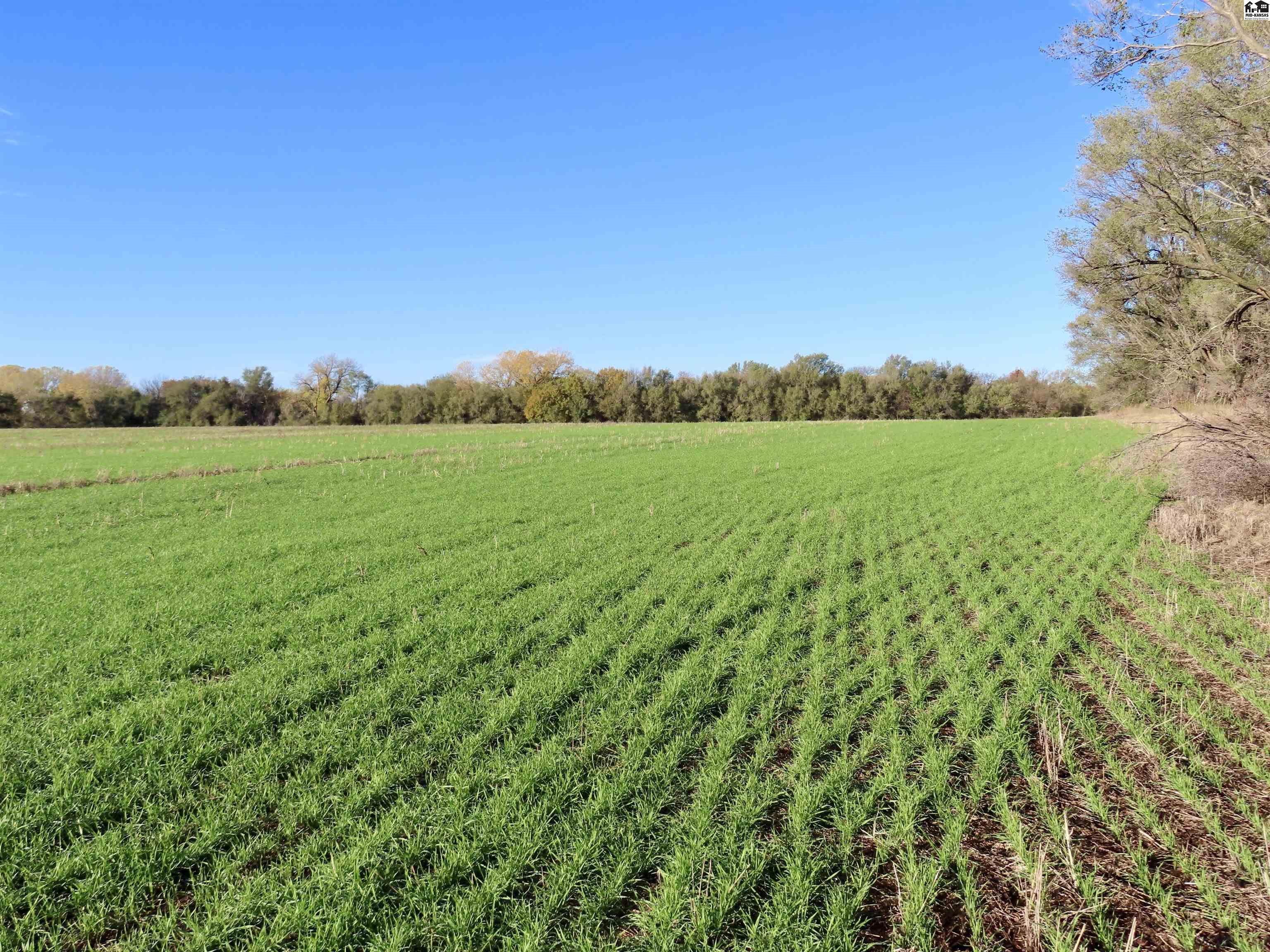 00000 W Copeland Avenue Kingman KS 67068