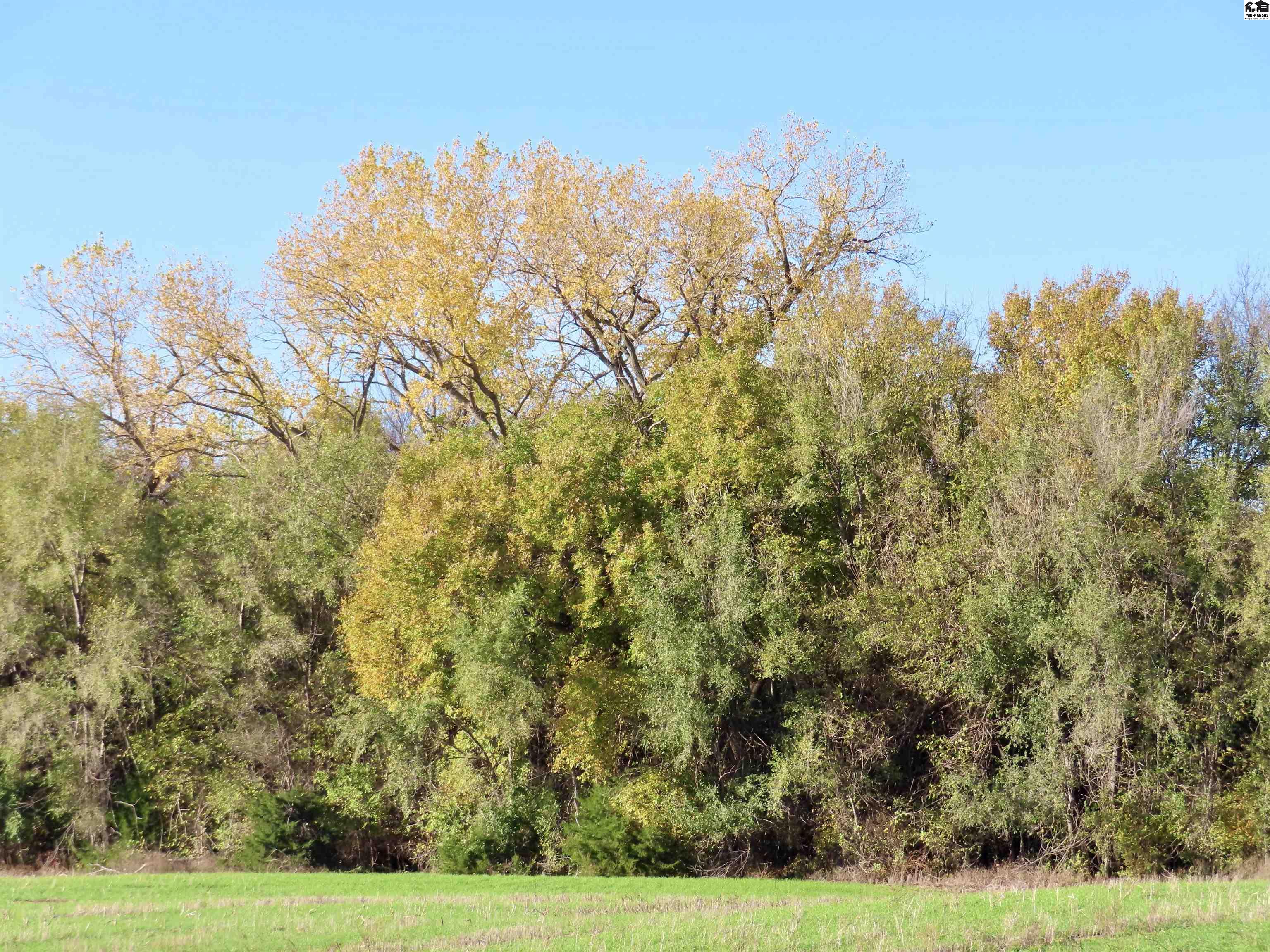 00000 W Copeland Avenue Kingman KS 67068