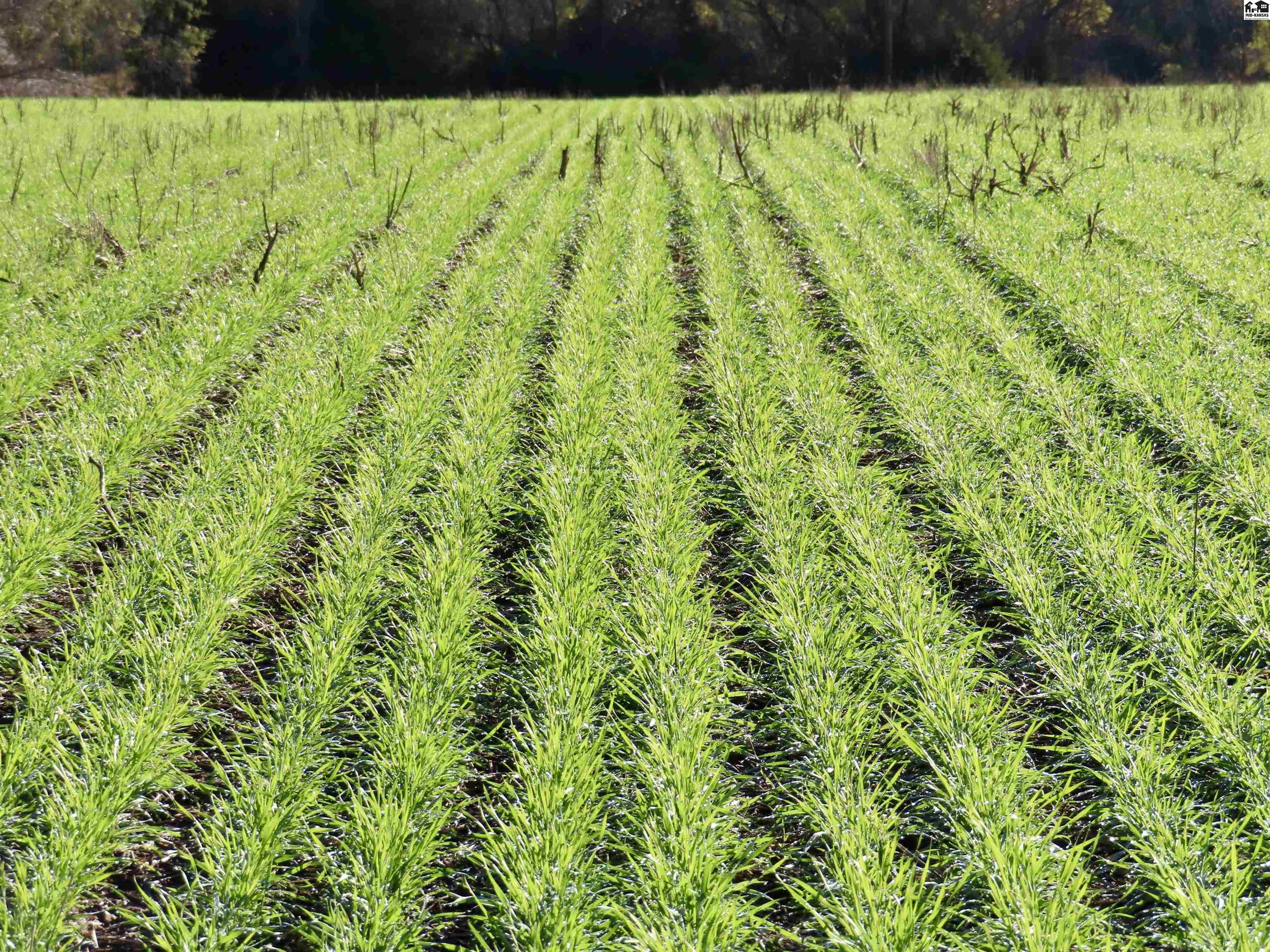 00000 W Copeland Avenue Kingman KS 67068