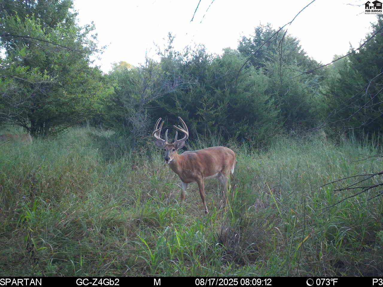 00000 W Copeland Avenue Kingman KS 67068