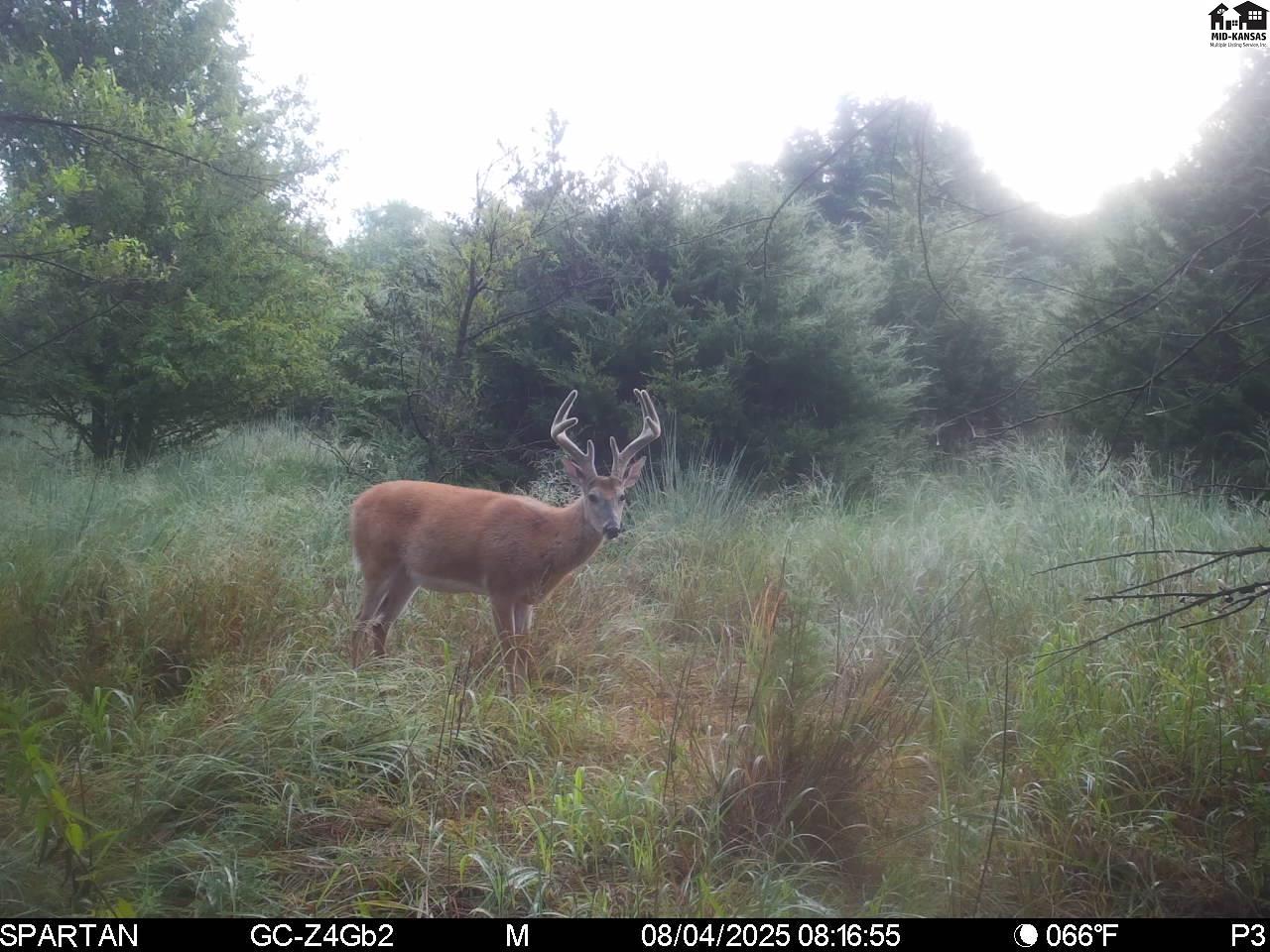 00000 W Copeland Avenue Kingman KS 67068