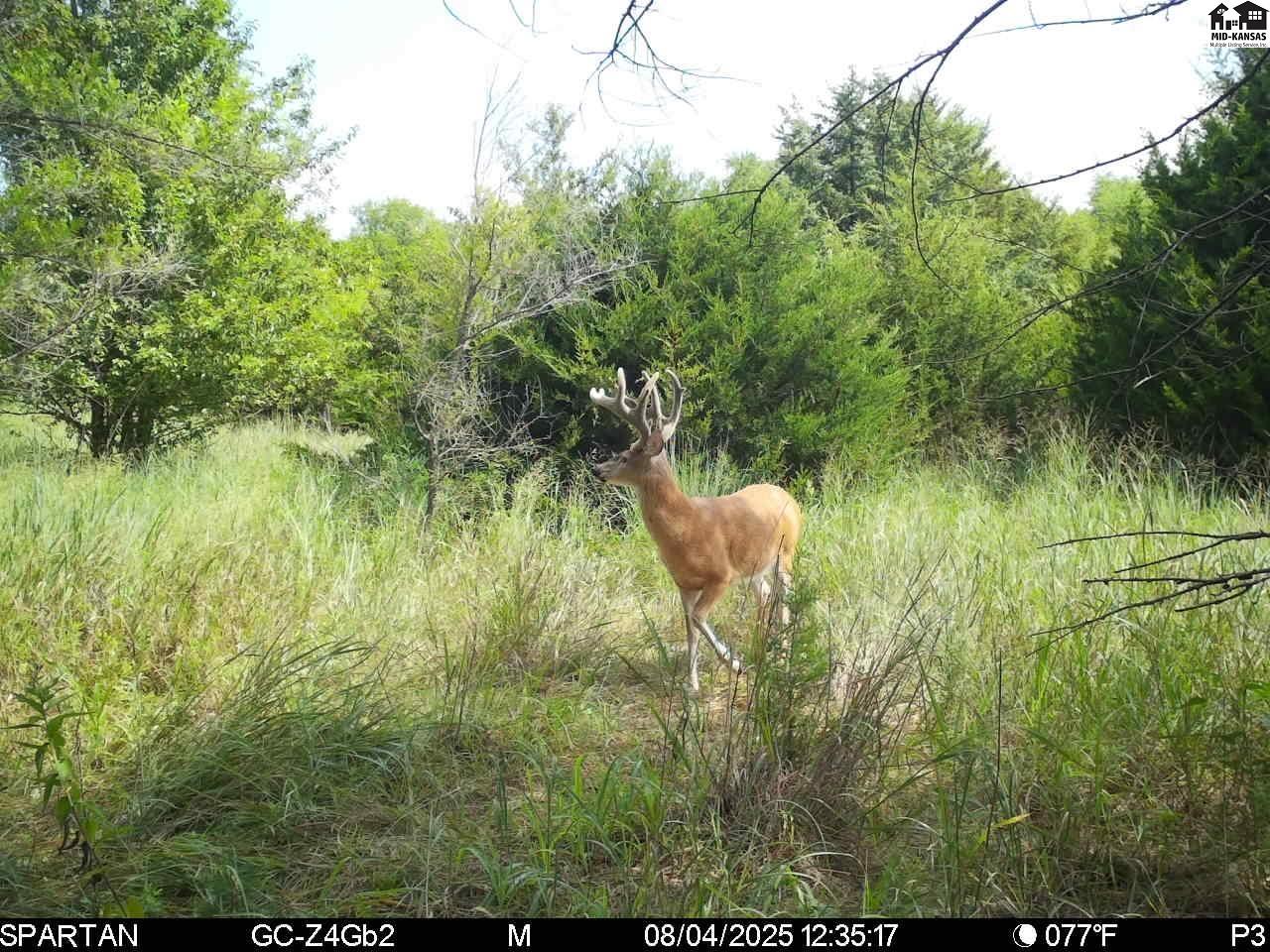 00000 W Copeland Avenue Kingman KS 67068