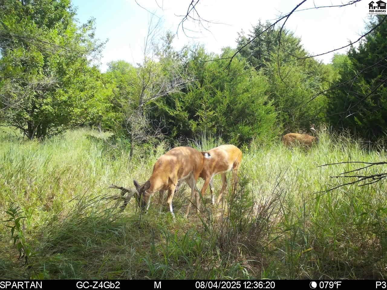 00000 W Copeland Avenue Kingman KS 67068