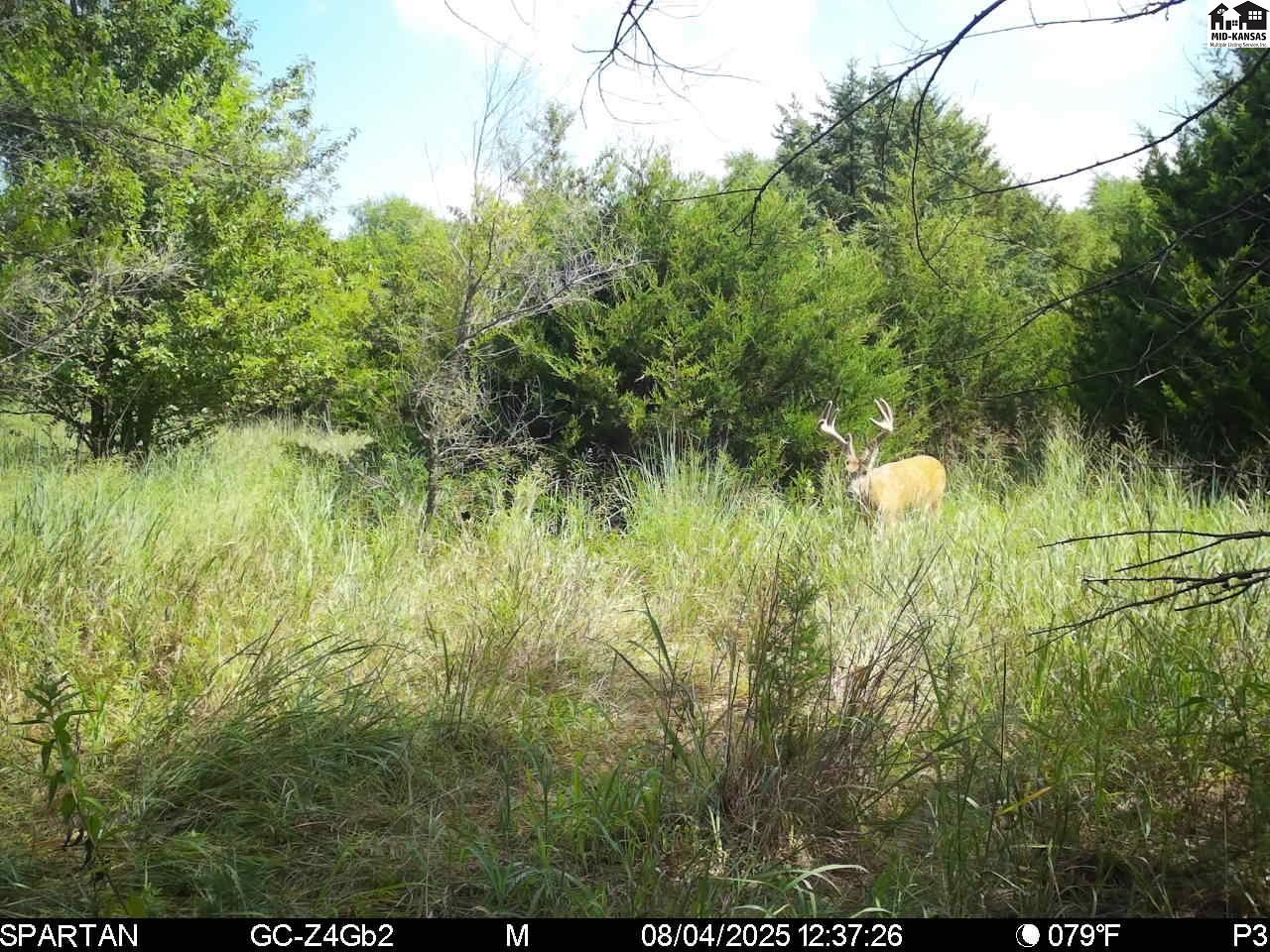 00000 W Copeland Avenue Kingman KS 67068