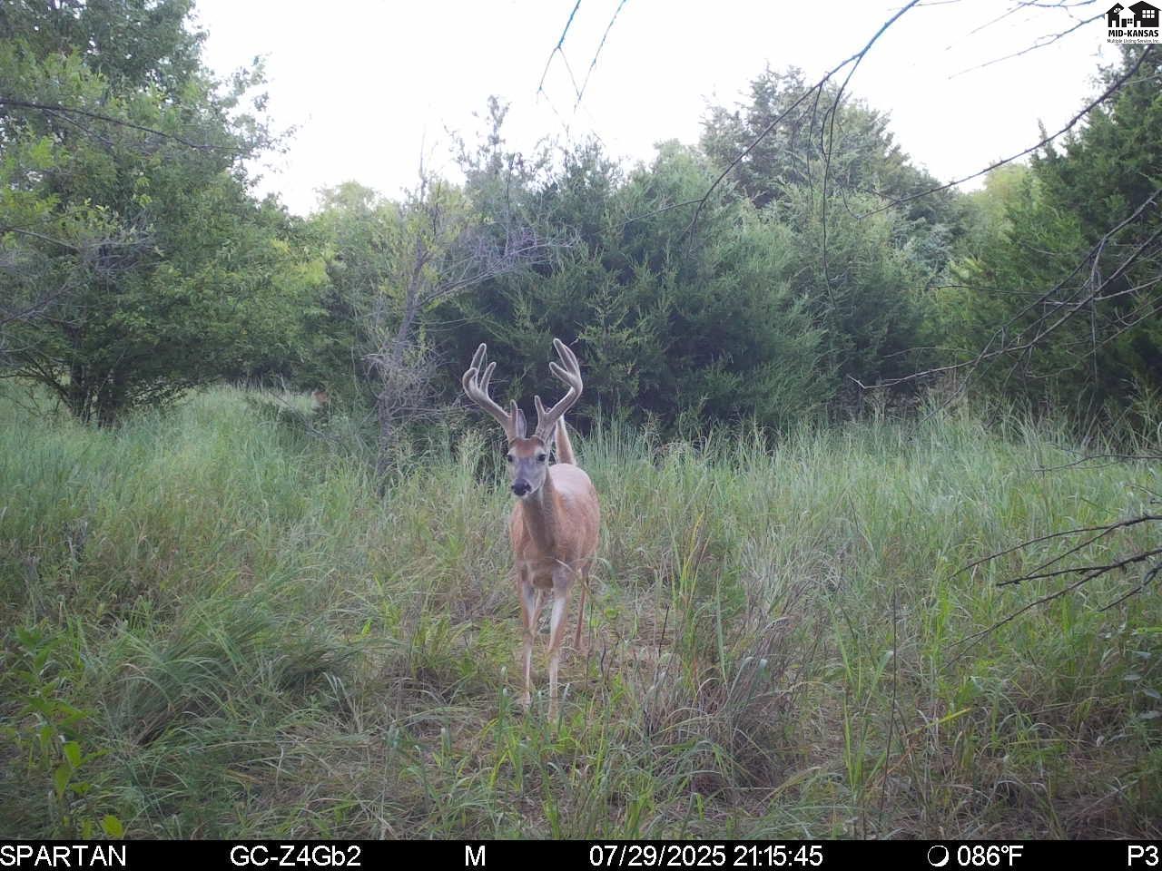 00000 W Copeland Avenue Kingman KS 67068