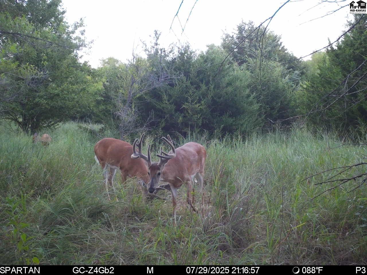 00000 W Copeland Avenue Kingman KS 67068